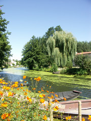 Marais poitevin